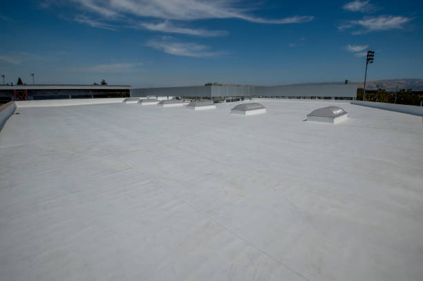Best Skylights  in Hughesville, PA