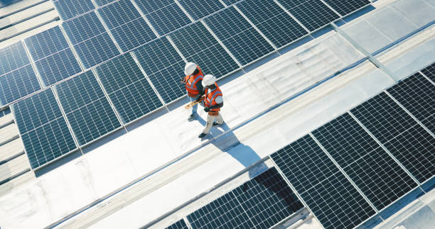 Best Roof Moss and Algae Removal  in Hughesville, PA