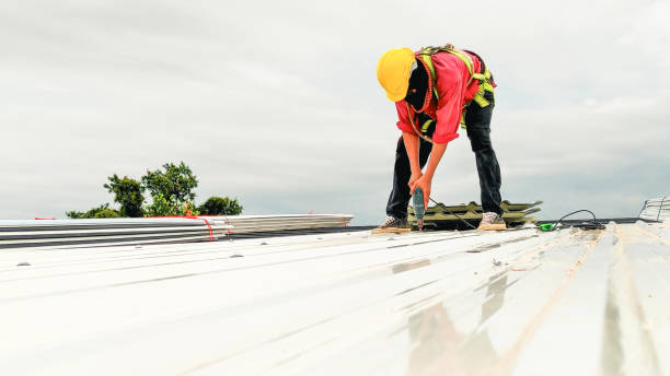 Best Emergency Roof Repair Services  in Hughesville, PA
