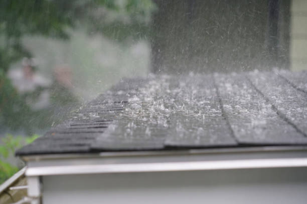 Best Roof Coating and Sealing  in Hughesville, PA
